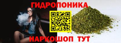 спиды Можга