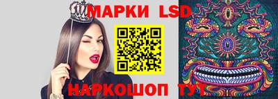 спиды Можга